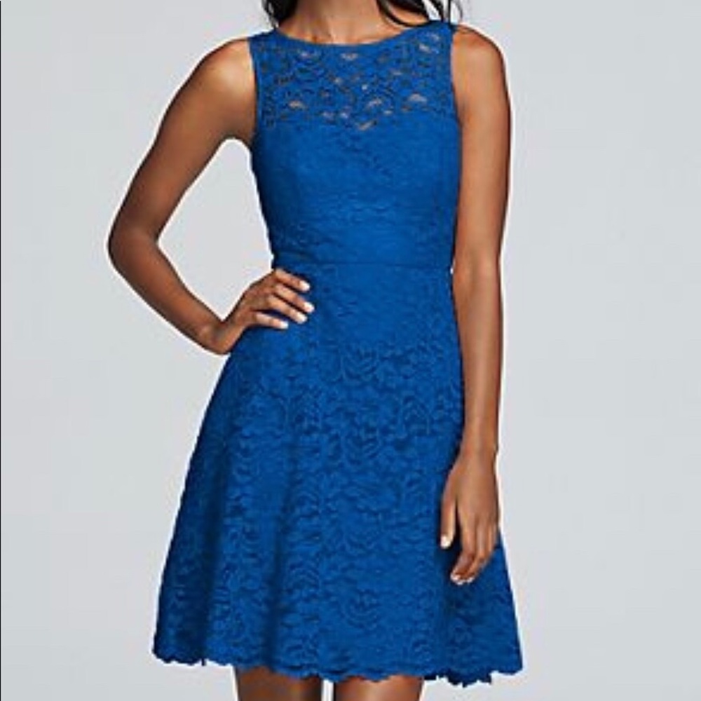 Horizon Sleeveless Lace Dress